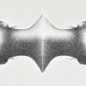 Omar Galliani, Disegno siamese, 2009. Cortesia di CSArt - Comunicazione per l'Arte