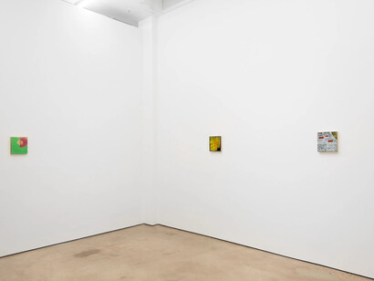 Salim Green, Paintings, exhibition view. Courtesy of François Ghebaly Gallery