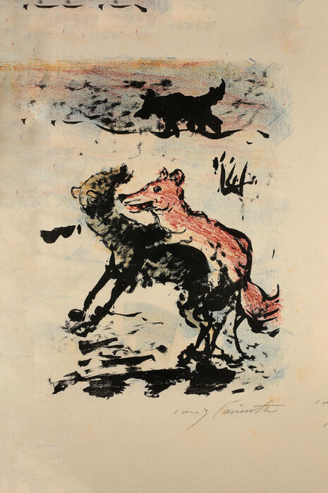 Der Wolf. Courtesy of Wallraf-Richartz-Museum