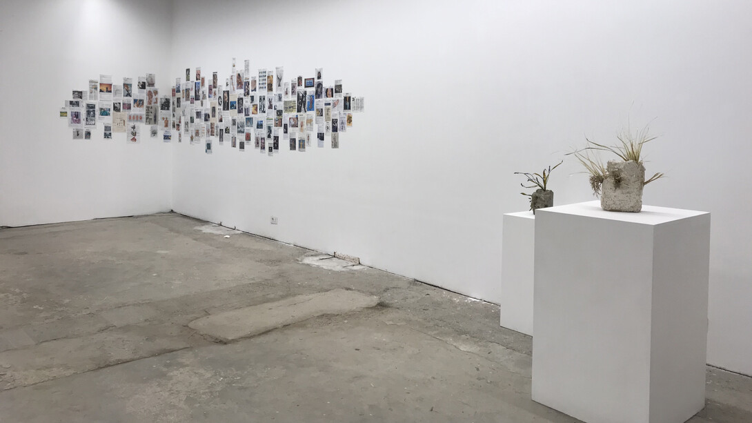 Installation view, Share Happiness - omaggio a Frankenstein, Alberta Pane Gallery, Venice 
