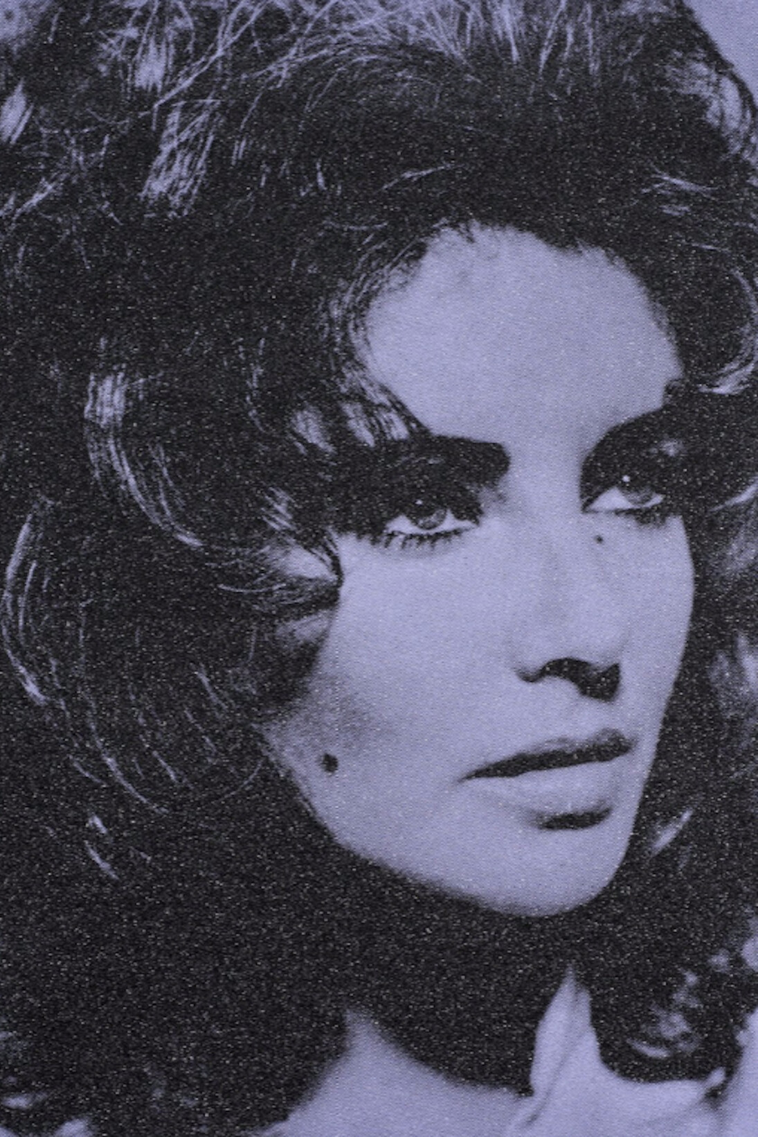 Russell Young, Liz Taylor, 2017. Courtesy of Taglialatella Galleries