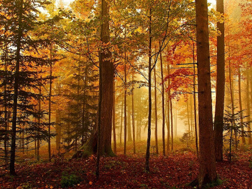 Non possiamo andare avanti a far finta che la morte non esista