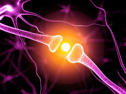 El cerebro entérico libera neurotransmisores como la serotonina y la dopamina que influyen en nuestro estado de ánimo