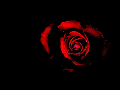 Garantizar la posibilidad de vivir y de morir con la inherente dignidad de una persona humana
