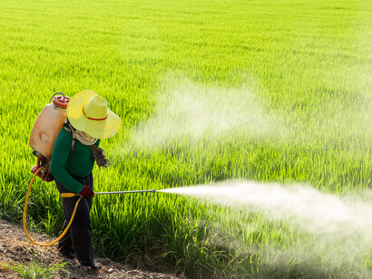 L'uso indiscriminato di pesticidi