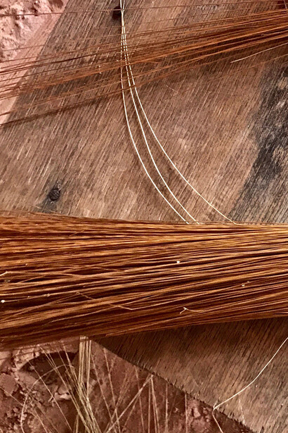 A preservação do Capim Dourado é fundamental para o desenvolvimento sustentável do Jalapão. O manejo consciente e o trançado artesanal garantem renda às comunidades e proteção ao meio ambiente