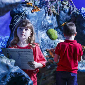 Your shipwreck adventure, exhibition view. Courtesy of Queensland Museum Tropics