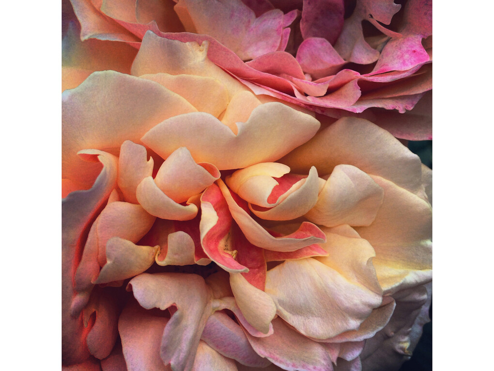 John Arsenault, 1:22 pm, Los Angeles, 2014, Signed, titled, dated, and numbered, verso, Chromogenic print, 30 x 30 inches (Edition of 5), 13.5 x 13.5 inches (Edition of 10)