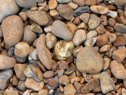 Amalia Pica, rock comb. Courtesy of Brighton CCA