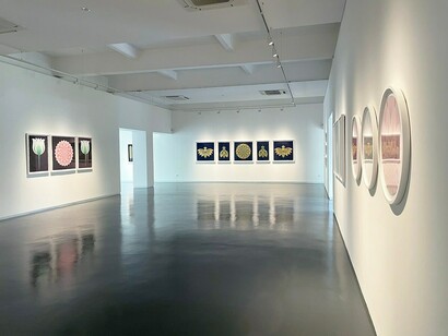 Olivia Fraser, A journey within, exhibition view. Courtesy of Sundaram Tagore Gallery
