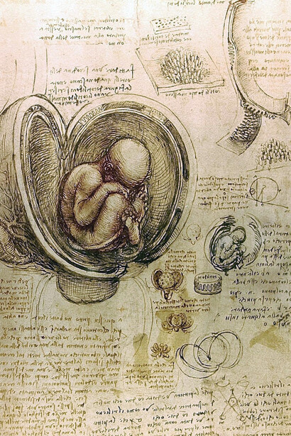 Leonardo da Vinci's Codex Leicester