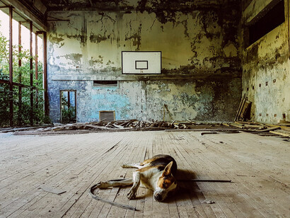 The basketball court today