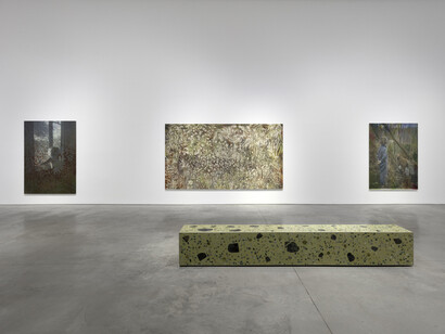 Sam Falls, Amongst the living, exhibition view. Courtesy of 303 Gallery 