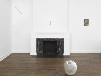 Natura Naturans. Courtesy of Mendes Wood DM
