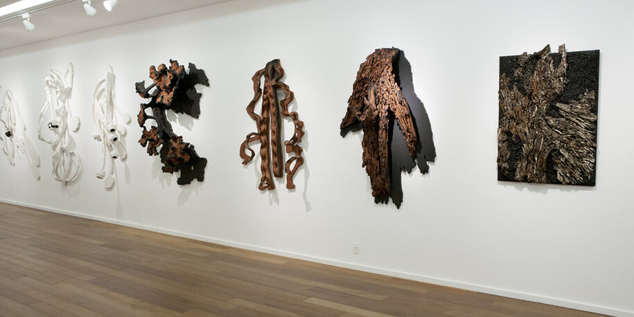 Frans Krajcberg, Exhibition view. Courtesy of Galeria Frente