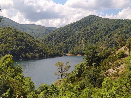 Parco naturale delle Capanne di Marcarolo, area naturale protetta istituita nel 1979 e situata in Piemonte al confine con la Liguria, Italia