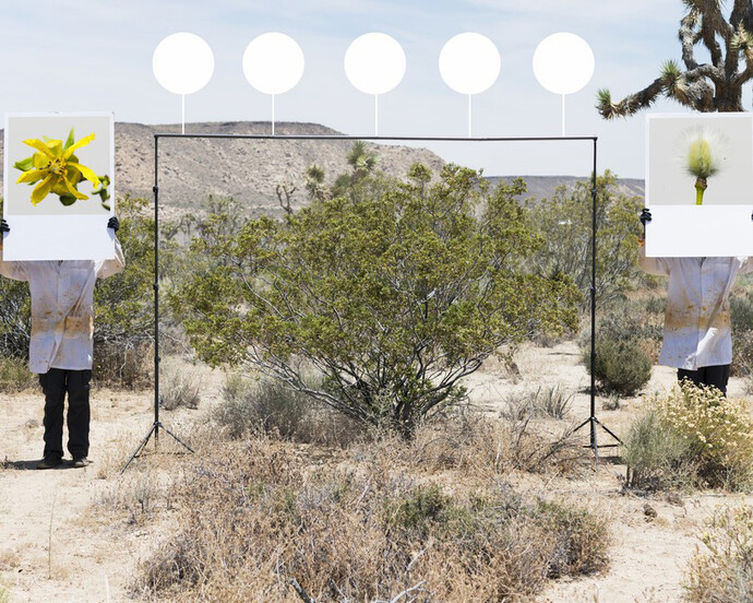 Wander, Invent. Courtesy of Joshua Tree