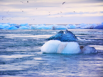 Glacial derritiéndose. Las actividades ganaderas tienen un fuerte impacto ambiental y sus efectos se ven agravados por el cambio climático