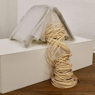 Installation view, Bamboo whispers, 2023. Courtesy of :iidrr Gallery