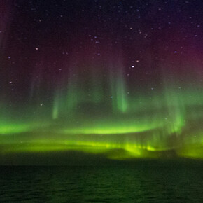 The Franklin Exploration. Courtesy of ROM 