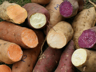 Batatas