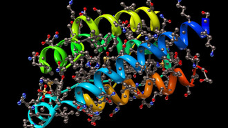 Macromolecules
