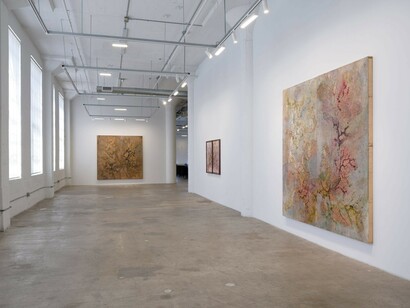 Tonia Calderon, Unlearning, exhibition view. Courtesy of Vielmetter Gallery
