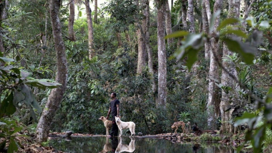 Laura Henno. Courtesy of Galerie Les Filles du Calvaire