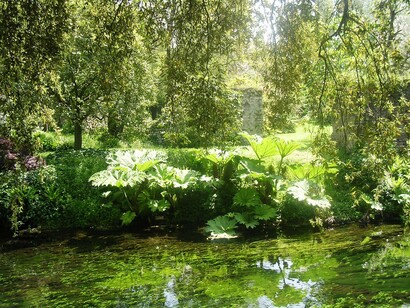 Le acque del giardino di Ninfa