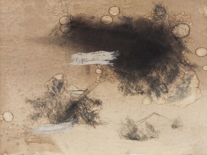 Courtesy Ricardo Brey & Galerie Nathalie Obadia Paris / Brussels © We Document Art