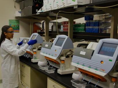 What exactly is public health? 