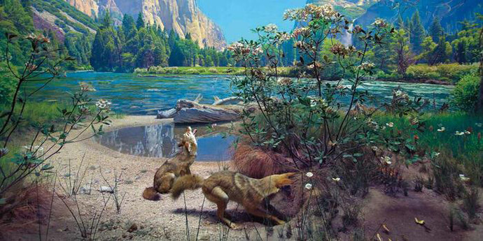 Mammals. Courtesy of American Museum of Natural History