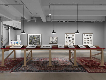 William Kentridge, A natural history of the studio, exhibition view. Courtesy of Hauser & Wirth Gallery