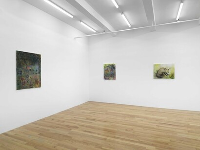 Autumn Ramsey, exhibition view. Courtesy of Paul Soto Gallery
