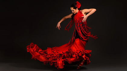 Bailarina de flamenco