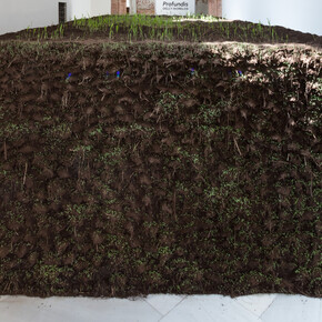 Delcy Morelos, Profundis, exhibition view. Courtesy of the Centro Andaluz de Arte Contemporáneo. Photo by Pepe Morón