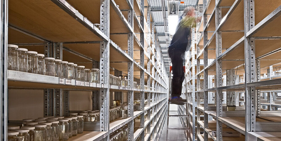 The Wet Collections. Courtesy of Museum für Naturkunde