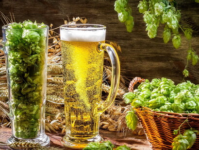 Bier und Hopfen