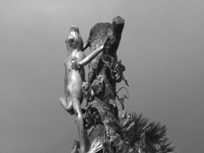 Detalle de «La rana dorada» (2014), bronce, Armando Granja. Fotografía de Juan Carlos Flores Zúñiga