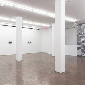 LJ Roberts, The queer mechanix of the lands currently referred to as the U.S. & Canada before & during the 54th year of the stonewall era, exhibition view. Courtesy of Hales Gallery