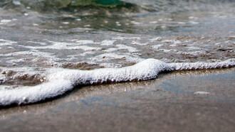 Foaming seawaves invite wandering minds