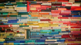 ¿Por qué ciertos autores no destacan para la crítica, la historia y las editoriales?