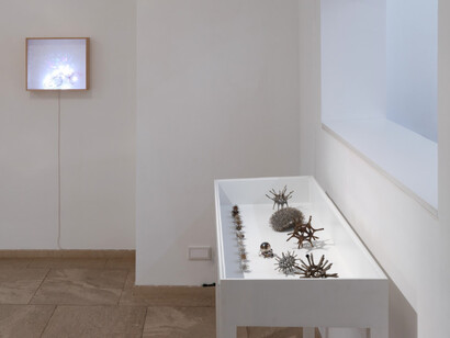 Jiyen Lee, Stain-rainbow forest, exhibition view. Courtesy of Galerie nächst St. Stephan