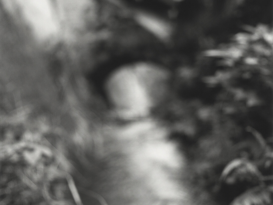 Kirk Palmer, From the series Precious Fragments, 2014, b/w selenium toned silver gelatin hand print © Kirk Palmer