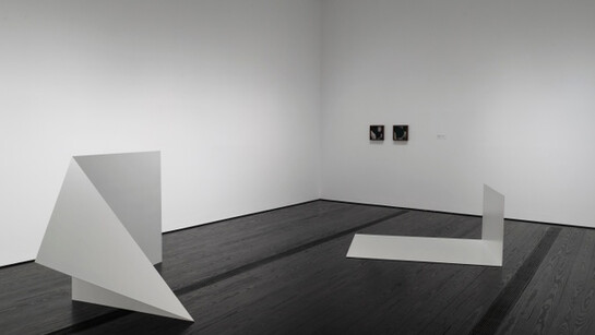 Contemporary Focus: Leslie Hewitt. Courtesy of Menil