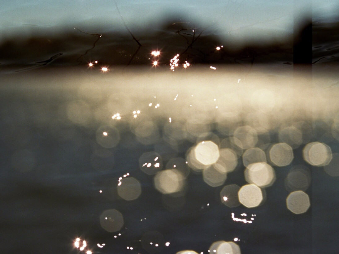 Leah Oates, Natural Dots I, 2015. Courtesy of Susan Eley Fine Art