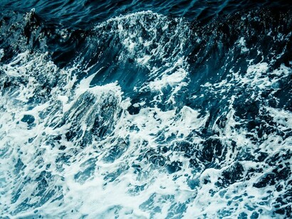 Le specie viventi cominciarono ad esplorare la terra ferma a partire dal mare