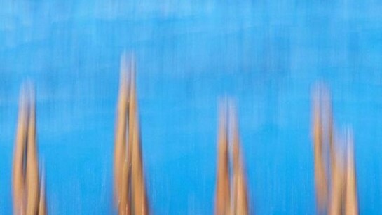 Stefano Nicolini. Piscine