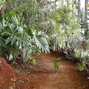 The 35th Panorama of Brazilian Art. Courtesy of The Museum of Modern Art of São Paulo