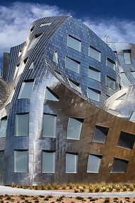 The Lou Ruvo Center for Brain Health is a medical building in Las Vegas, opened in 2010 and operated by the Cleveland Clinic. It is designed by famous architect Frank Gehry